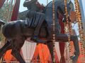 Bhim Singh Rana Statue Gohad-14.jpeg