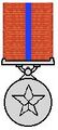 Param Vishisht Seva Medal.jpg