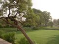 Mughal style charbagh pattern garden-a view.JPG