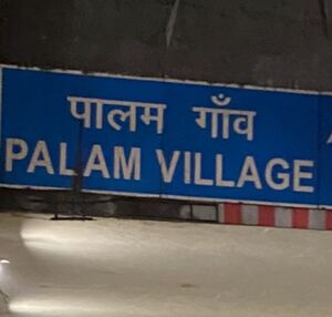 Palam village.jpg