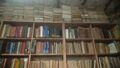 Sureti Jakhar Library-2.jpeg
