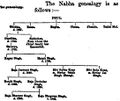 Nabha GenealogyPunjabRajas.p.417.jpg
