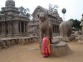 Gomati Burdak at Arjuna Ratha, Bheema Ratha. Lion and Elephant sculptures, Mahabalipuram