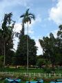 Lalbagh Botanical Garden Bangalore-लालबाग, बंगलोर