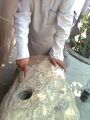 नलगढा गाँव में एतिहासिक पत्थर जिसका प्रयोग भगत सिंह ने बोम्ब बनाने के लिए किया था