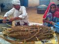 हनुमानाराम झूरिया बाजरे की सिट्टीयों से बुआई के लिए बीज तैयार करते हुये