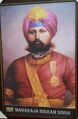 Maharaja Bikram Singh Brar, Maharaja Of Faridkot