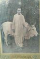 Swami Gopal Das with Cow.jpg